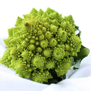 Romanesco Broccoli